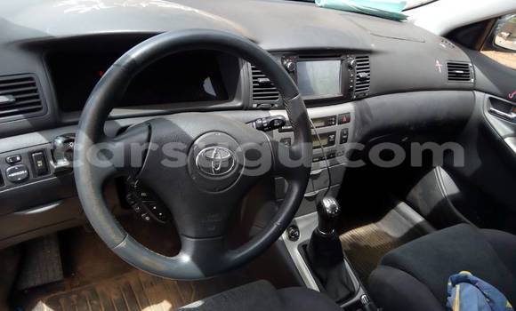 Acheter Occasion Voiture Toyota Corolla Gris à Bobo Dioulasso, Burkina-Faso Acheter Occasion Voiture Toyota Corolla Gris à Bobo Dioulasso, Burkina-Faso