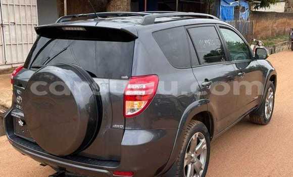 Acheter Occasion Voiture Toyota RAV4 Autre à Bekuy, Houet Acheter Occasion Voiture Toyota RAV4 Autre à Bekuy, Houet