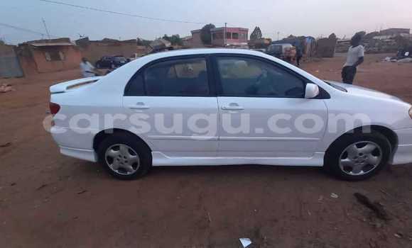 Acheter Occasion Voiture Toyota Corolla Blanc à Bobo Dioulasso, Burkina-Faso Acheter Occasion Voiture Toyota Corolla Blanc à Bobo Dioulasso, Burkina-Faso