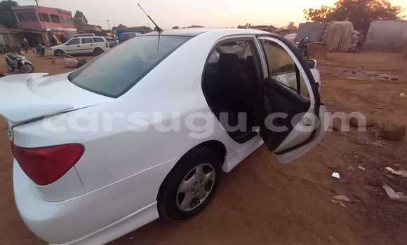 Acheter Occasion Voiture Toyota Corolla Blanc à Bobo Dioulasso, Burkina-Faso Acheter Occasion Voiture Toyota Corolla Blanc à Bobo Dioulasso, Burkina-Faso