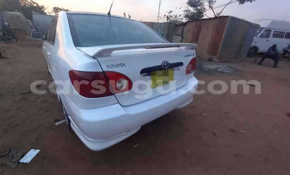 Acheter Occasion Voiture Toyota Corolla Blanc à Bobo Dioulasso, Burkina-Faso Acheter Occasion Voiture Toyota Corolla Blanc à Bobo Dioulasso, Burkina-Faso