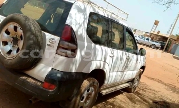 Acheter Occasion Voiture Toyota Prado Blanc à Ouagadougou, Burkina-Faso Acheter Occasion Voiture Toyota Prado Blanc à Ouagadougou, Burkina-Faso