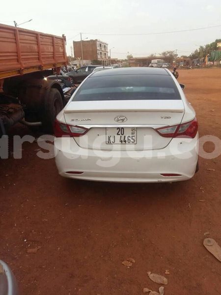 Big with watermark 30623955 578122035882356 6857030771144654848 n