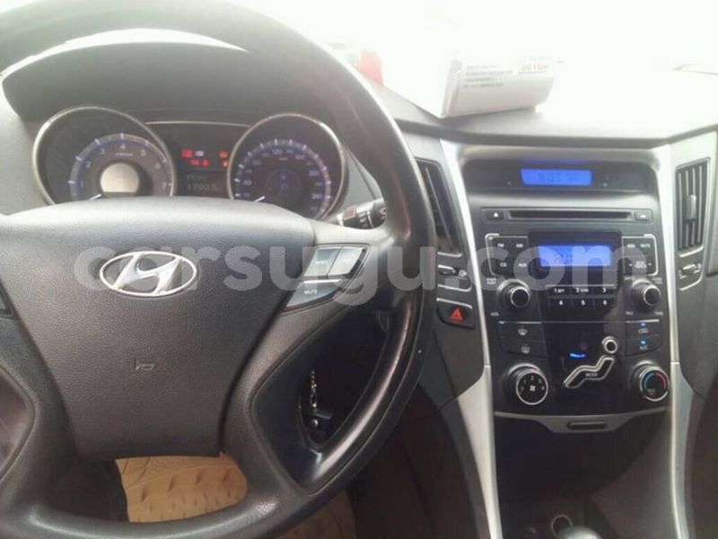 Big with watermark 30705011 1080215435450894 1812932972978896896 n