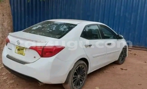 Acheter Occasion Voiture Toyota Corolla Blanc à Gaoua, Poni Acheter Occasion Voiture Toyota Corolla Blanc à Gaoua, Poni