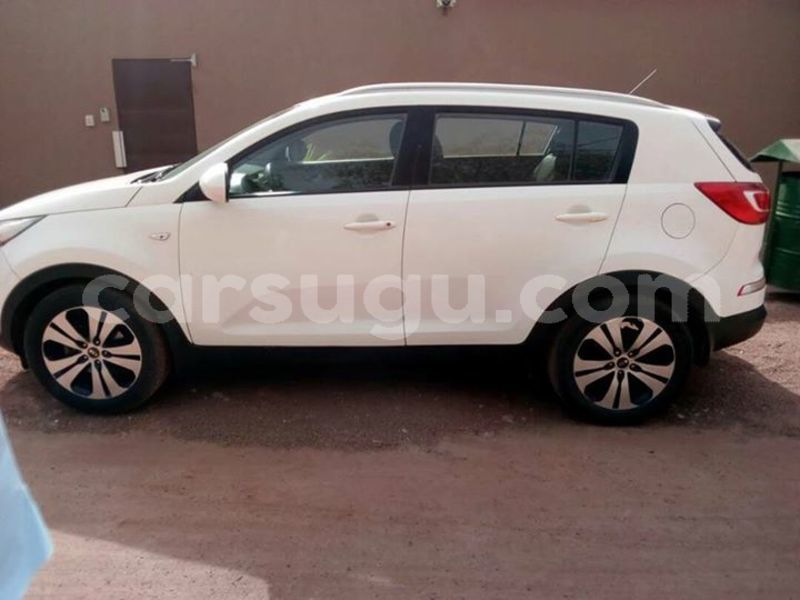 Big with watermark 30629329 194112211393369 244064733525704704 n