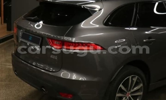 Acheter Occasion Voiture Jaguar F-Type Autre à Ouagadougou, Burkina-Faso Acheter Occasion Voiture Jaguar F-Type Autre à Ouagadougou, Burkina-Faso