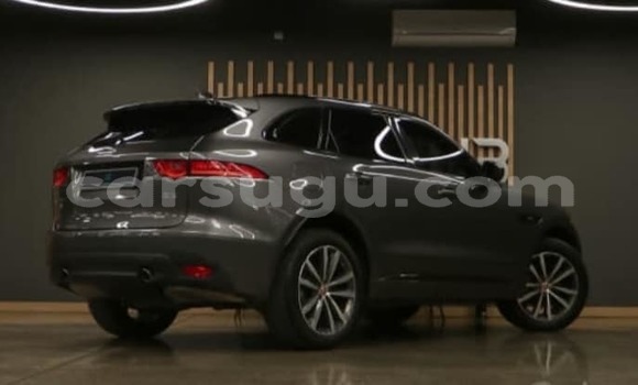 Acheter Occasion Voiture Jaguar F-Type Autre à Ouagadougou, Burkina-Faso Acheter Occasion Voiture Jaguar F-Type Autre à Ouagadougou, Burkina-Faso