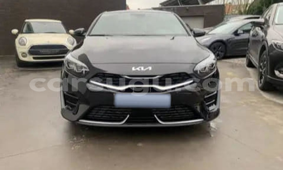 Buy Used Kia Pregio Black Car in Ouagadougou in Burkina Faso Buy Used Kia Pregio Black Car in Ouagadougou in Burkina Faso