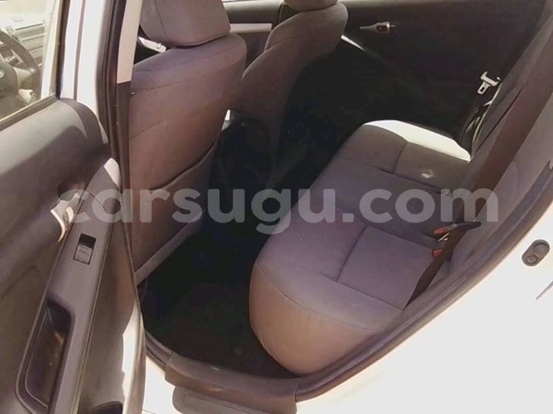 Big with watermark 30629329 194112211393369 244064733525704704 n