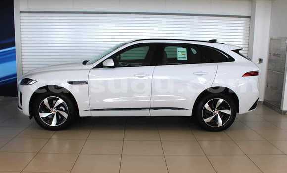 Acheter Occasion Voiture Jaguar F-Pace Blanc à Bobo Dioulasso, Burkina-Faso Acheter Occasion Voiture Jaguar F-Pace Blanc à Bobo Dioulasso, Burkina-Faso