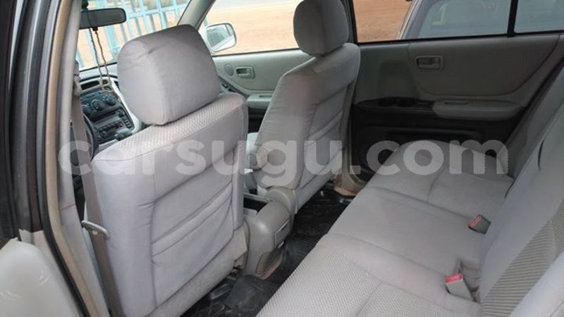 Big with watermark 30629329 194112211393369 244064733525704704 n