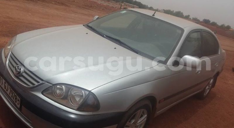 Big with watermark 30623955 578122035882356 6857030771144654848 n