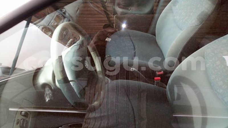 Big with watermark 30629329 194112211393369 244064733525704704 n