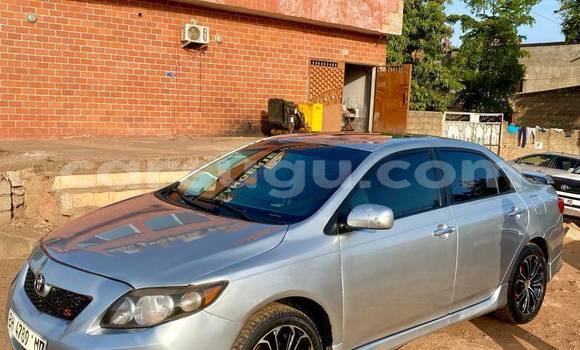 Acheter Occasion Voiture Toyota Corolla Autre à Ouagadougou, Burkina-Faso Acheter Occasion Voiture Toyota Corolla Autre à Ouagadougou, Burkina-Faso