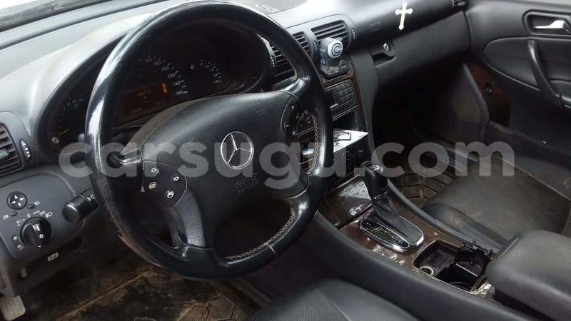 Big with watermark 33776688 1754141574624592 2761309477612290048 n