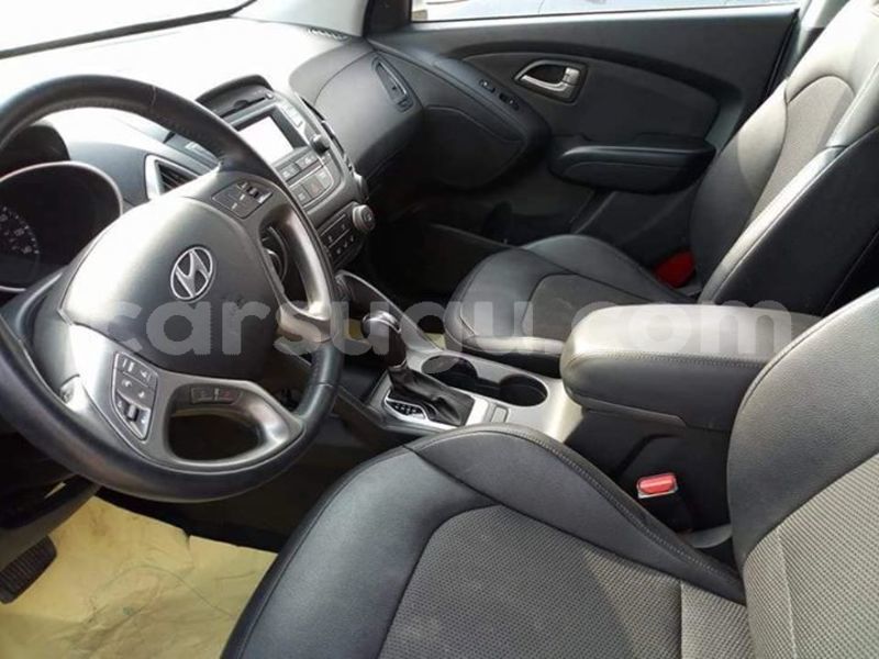 Big with watermark 30629329 194112211393369 244064733525704704 n