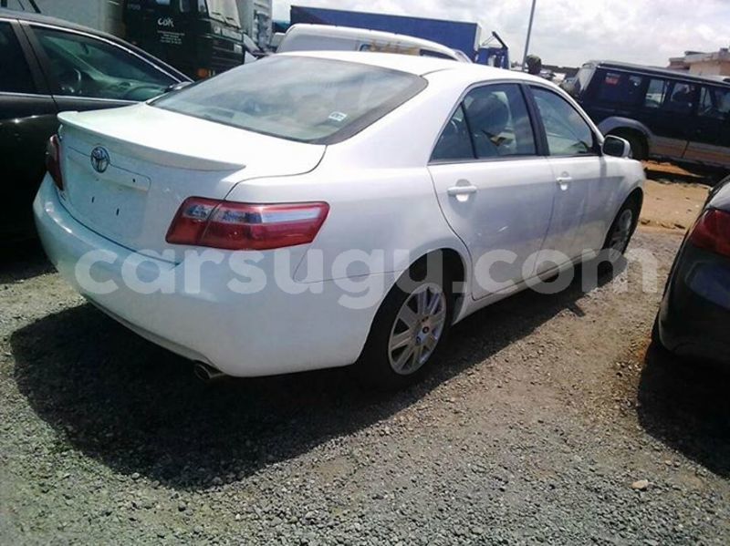 Big with watermark 30629329 194112211393369 244064733525704704 n