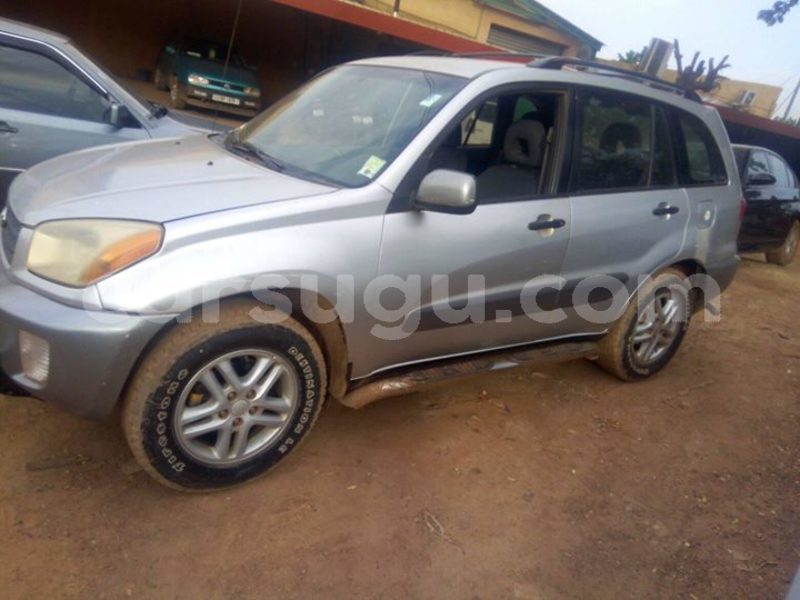 Big with watermark 30629329 194112211393369 244064733525704704 n