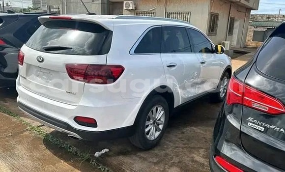 Sayi Na hannu Hyundai Santa Fe White Mota in Boromo a Bale Sayi Na hannu Hyundai Santa Fe White Mota in Boromo a Bale