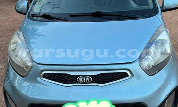 Buy Used Kia Morning Blue Car in Ouagadougou in Burkina Faso Buy Used Kia Morning Blue Car in Ouagadougou in Burkina Faso