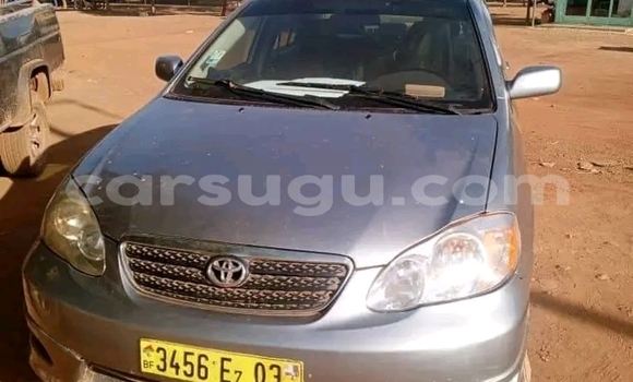 Buy Used Toyota Corolla Other Car in Ouagadougou in Burkina Faso Buy Used Toyota Corolla Other Car in Ouagadougou in Burkina Faso