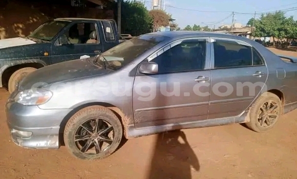 Buy Used Toyota Corolla Other Car in Ouagadougou in Burkina Faso Buy Used Toyota Corolla Other Car in Ouagadougou in Burkina Faso