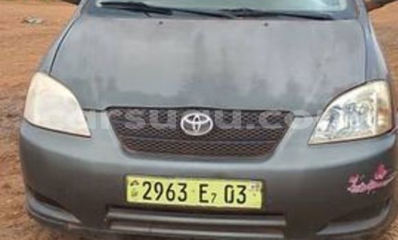 Sayi Na hannu Toyota Alphard Sauran Mota in Ouagadougou a Burkina Faso