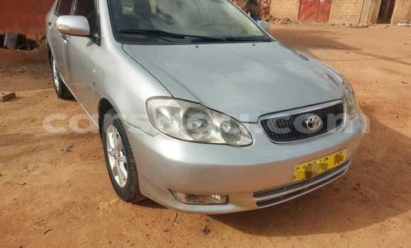 Acheter Occasion Voiture Toyota Corolla Autre à Bekuy, Houet Acheter Occasion Voiture Toyota Corolla Autre à Bekuy, Houet