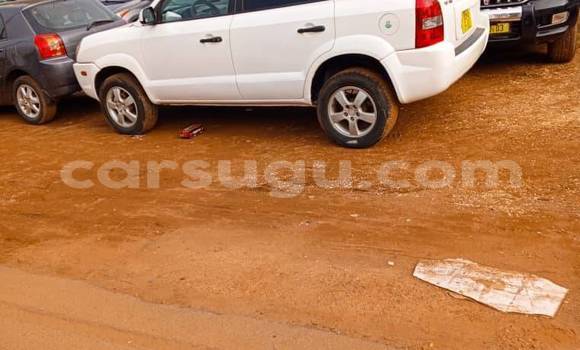 Sayi Na hannu Hyundai Tucson White Mota in Bobo Dioulasso a Burkina Faso Sayi Na hannu Hyundai Tucson White Mota in Bobo Dioulasso a Burkina Faso
