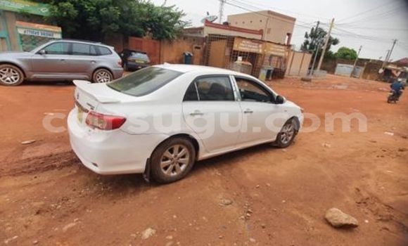 Acheter Occasion Voiture Toyota Corolla Autre à Ouagadougou, Burkina-Faso Acheter Occasion Voiture Toyota Corolla Autre à Ouagadougou, Burkina-Faso