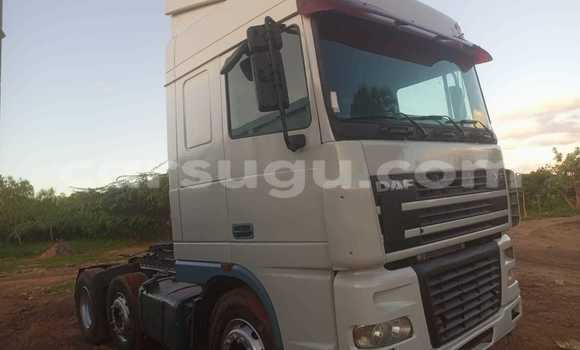 Acheter Occasion Utilitaire DAF CF Blanc à Batie, Noumbiel