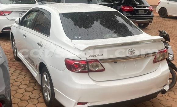 Acheter Neuf Voiture Toyota Corolla Blanc à Ouagadougou, Burkina-Faso Acheter Neuf Voiture Toyota Corolla Blanc à Ouagadougou, Burkina-Faso
