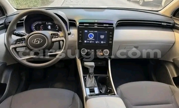 Buy Used Hyundai Tucson White Car in Gaoua in Poni Buy Used Hyundai Tucson White Car in Gaoua in Poni