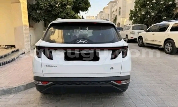 Buy Used Hyundai Tucson White Car in Gaoua in Poni Buy Used Hyundai Tucson White Car in Gaoua in Poni