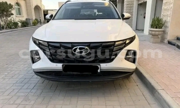 Buy Used Hyundai Tucson White Car in Gaoua in Poni Buy Used Hyundai Tucson White Car in Gaoua in Poni