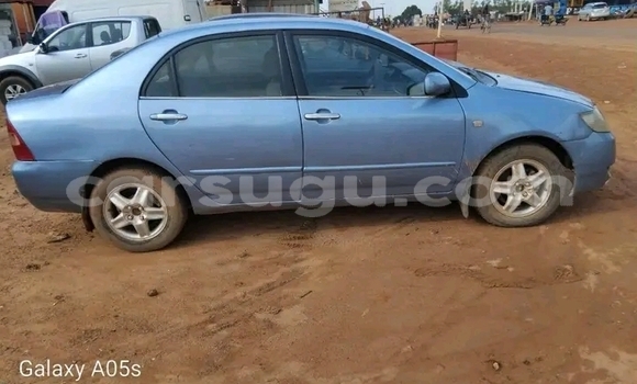 Buy Used Toyota Corolla Other Car in Ouagadougou in Burkina Faso Buy Used Toyota Corolla Other Car in Ouagadougou in Burkina Faso