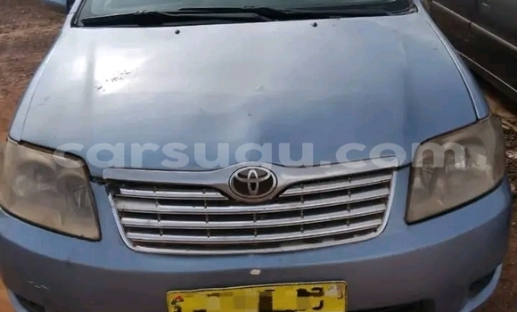 Buy Used Toyota Corolla Other Car in Ouagadougou in Burkina Faso Buy Used Toyota Corolla Other Car in Ouagadougou in Burkina Faso