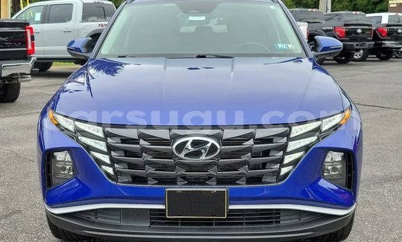 Acheter Occasion Voiture Hyundai Tucson Bleu à Dedougou, Mouhoun Acheter Occasion Voiture Hyundai Tucson Bleu à Dedougou, Mouhoun