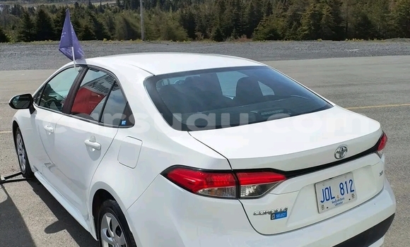 Buy Used Toyota Corolla Other Car in Ouagadougou in Burkina Faso Buy Used Toyota Corolla Other Car in Ouagadougou in Burkina Faso