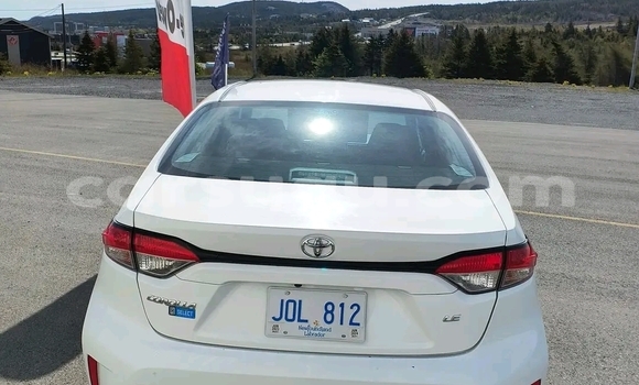 Buy Used Toyota Corolla Other Car in Ouagadougou in Burkina Faso Buy Used Toyota Corolla Other Car in Ouagadougou in Burkina Faso