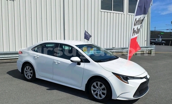 Buy Used Toyota Corolla Other Car in Ouagadougou in Burkina Faso Buy Used Toyota Corolla Other Car in Ouagadougou in Burkina Faso