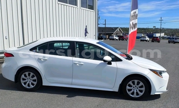 Buy Used Toyota Corolla Other Car in Ouagadougou in Burkina Faso Buy Used Toyota Corolla Other Car in Ouagadougou in Burkina Faso