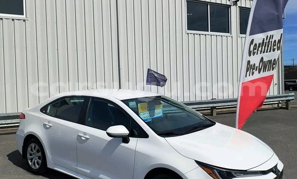 Buy Used Toyota Corolla Other Car in Ouagadougou in Burkina Faso Buy Used Toyota Corolla Other Car in Ouagadougou in Burkina Faso