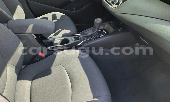 Buy Used Toyota Corolla Other Car in Ouagadougou in Burkina Faso Buy Used Toyota Corolla Other Car in Ouagadougou in Burkina Faso