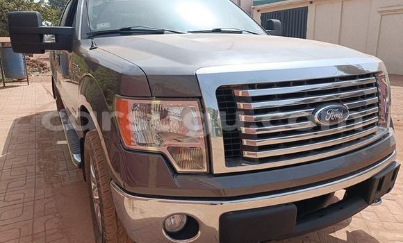 Acheter Occasion Voiture Ford F–150 Noir à Ouagadougou, Burkina-Faso