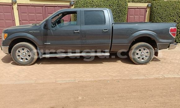 Sayi Na hannu Ford F–150 Black Mota in Ouagadougou a Burkina Faso Sayi Na hannu Ford F–150 Black Mota in Ouagadougou a Burkina Faso