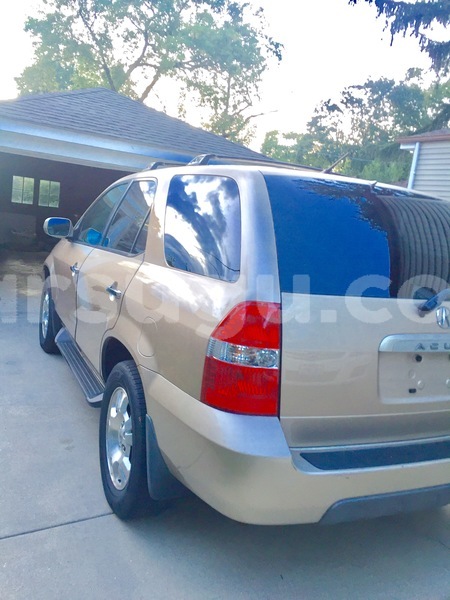 Big with watermark img 6320