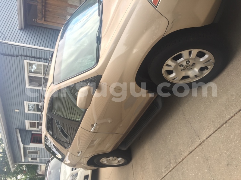 Big with watermark img 6236