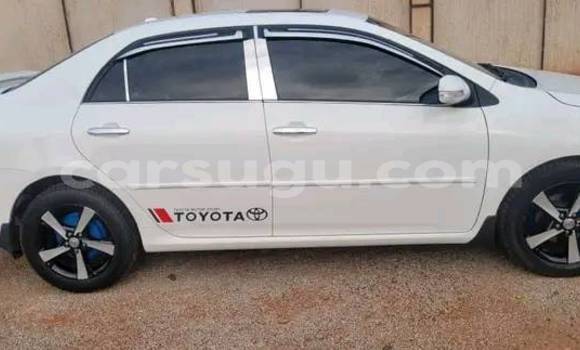 Buy Used Toyota Corolla White Car in Ouagadougou in Burkina Faso Buy Used Toyota Corolla White Car in Ouagadougou in Burkina Faso